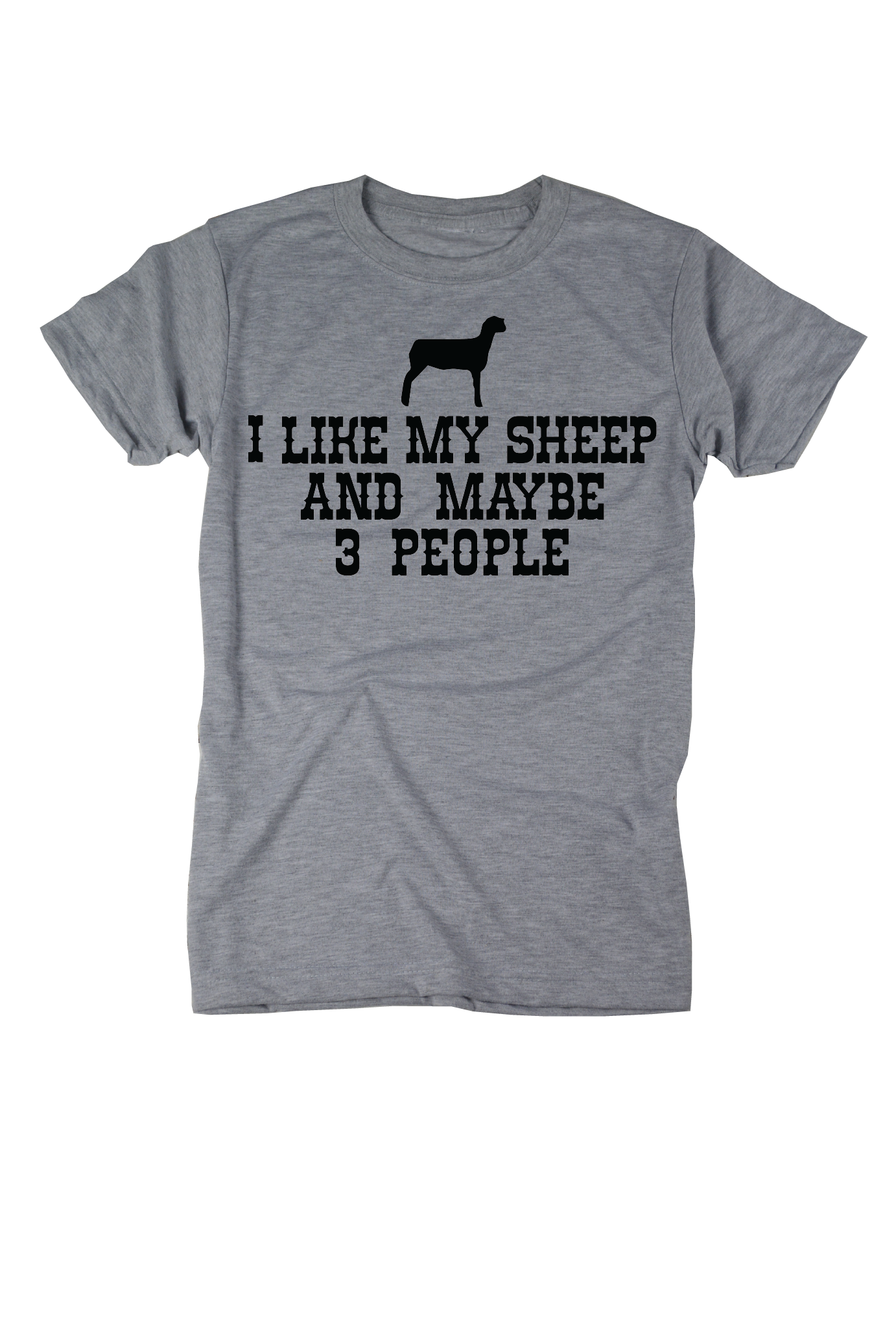 Because I like my Sheep